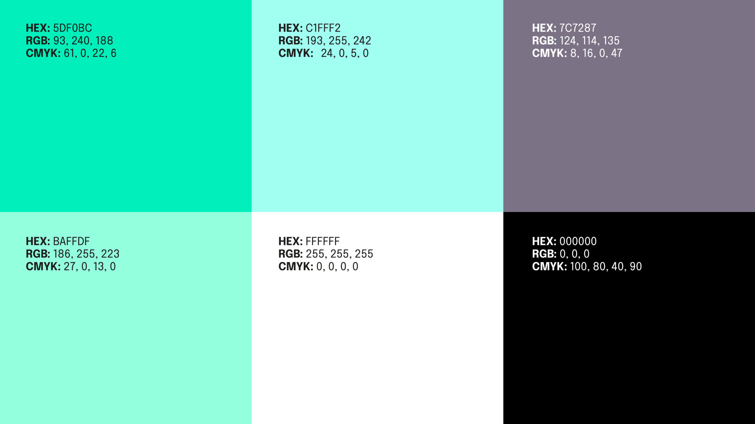 Palette colori brand identity la spa del business